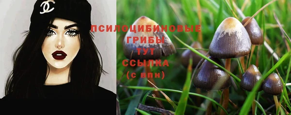 прущая мука Иноземцево