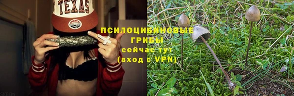 PSILOCYBIN Александровское