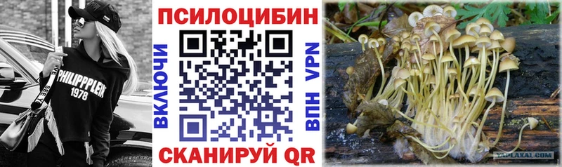 Купить где  Абдулино  Галлюциногенные грибы Magic Shrooms 